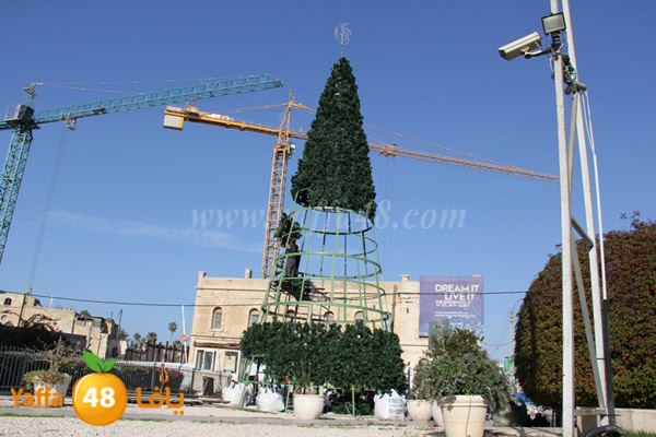 tree 3ed milad 1202 (7).JPG